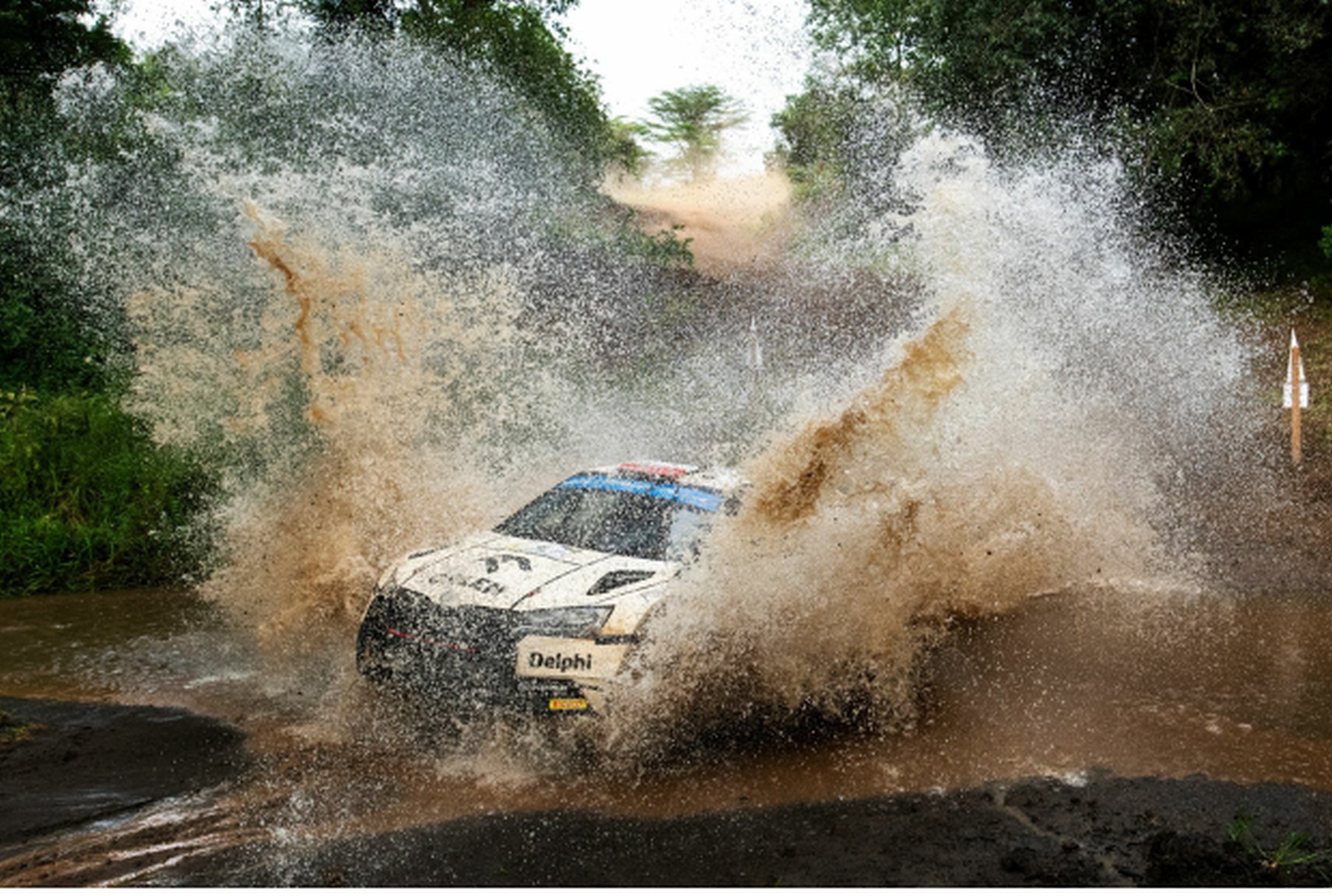 Wśród afrykańskiej fauny i flory – WRC Rajd Safari 2024 na żywo w Motowizji